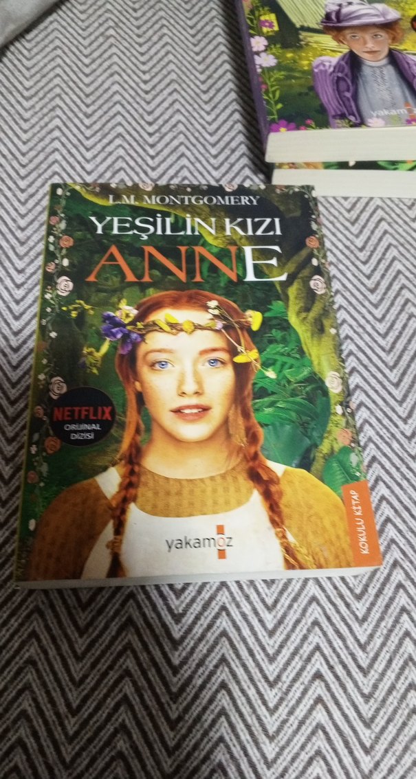 Yeşilin Kızı Anne  Hasarsız & Temiz Kitap - Görsel 3