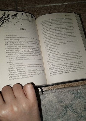 Aynalar Çağı: Yozlaşmış Harabeler - Emre Gül - Görsel 5