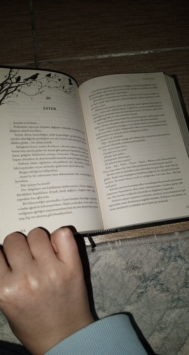 Aynalar Çağı: Yozlaşmış Harabeler - Emre Gül - Görsel 5