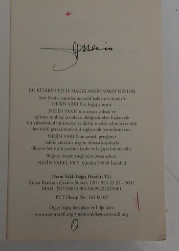 Aziz Nesin - Şimdiki Çocuklar Harika Roman