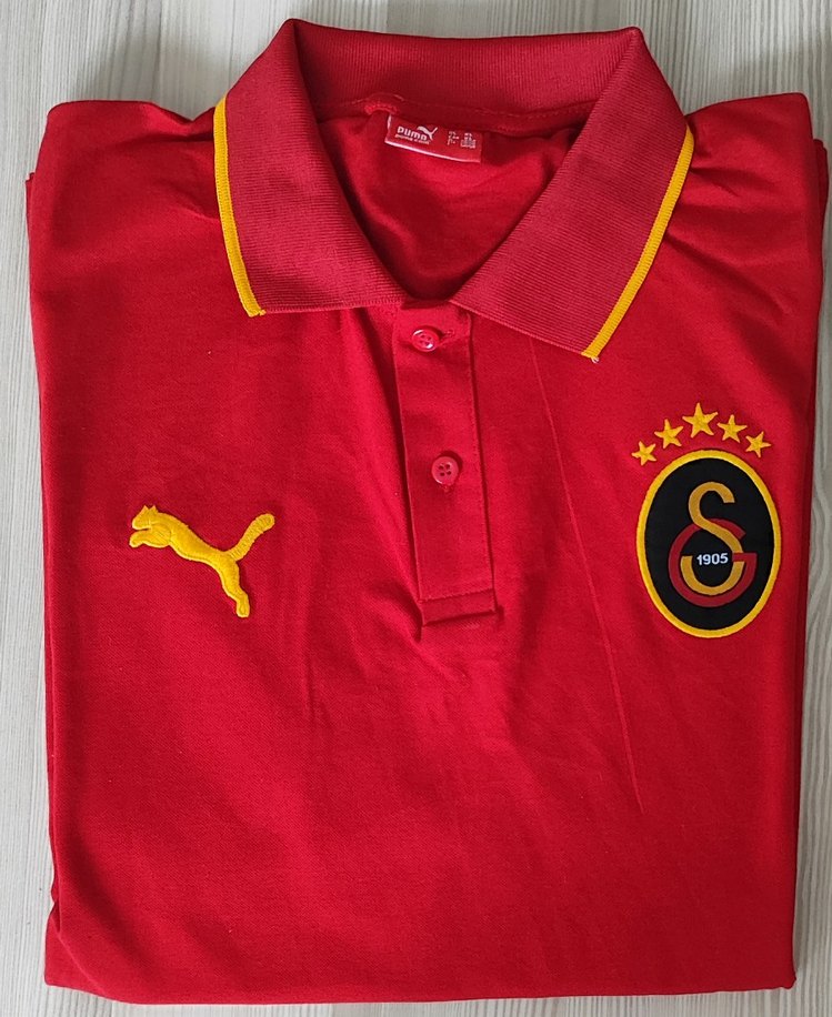 Galatasaray ı Polo Yaka Erkek Forma - Görsel 2