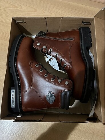 37 Beden Harley davidson 37 numara bot