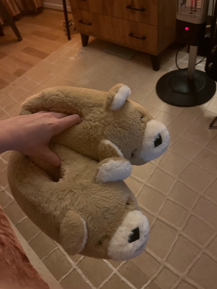 Flying Tigers Peluş Ev Terliği 38 numara - Görsel 2