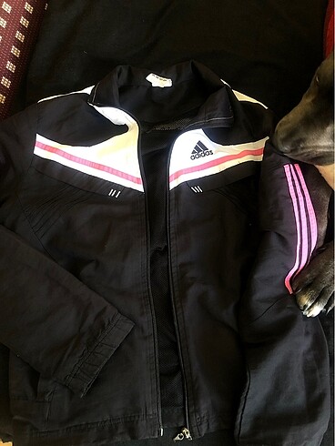 Adidas Adidas vintage spor ceket