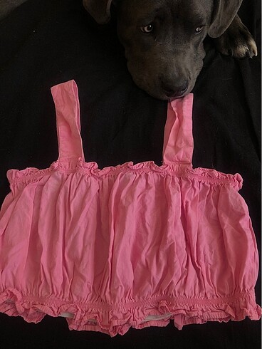 bombeli pembe crop