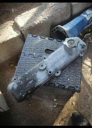 DOĞAN KÜLBÜTÖR KAPAĞI(ORJİNAL) - Görsel 2