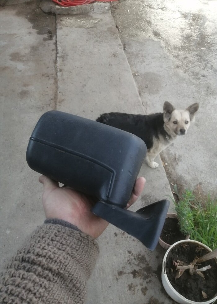 TOROS SAĞ DIŞ DİKİZ AYNASI - Görsel 2