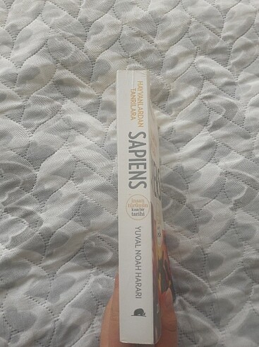  Sapiens