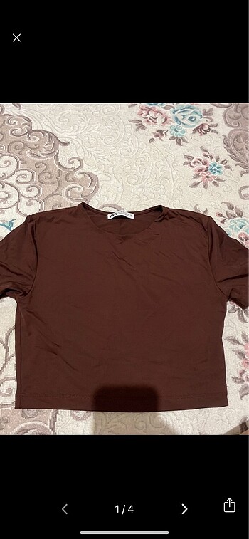 Zara Crop