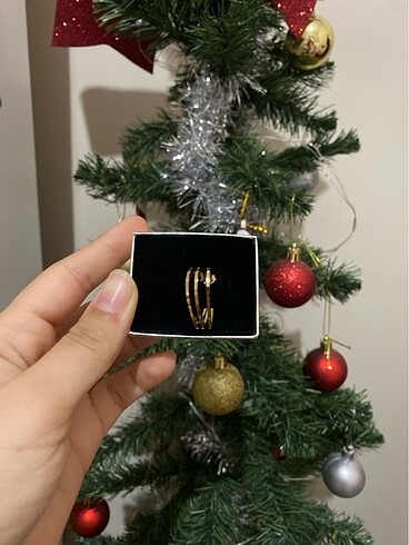 Diğer Kadın Küpe