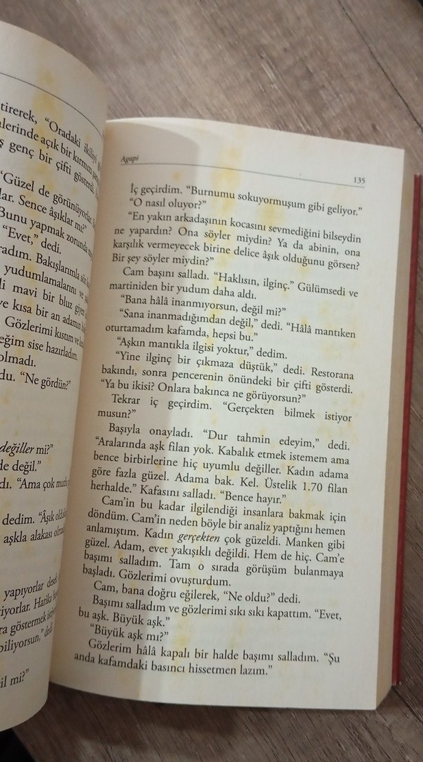 Agapi Ölümsüz Aşk - Sarah Jio Roman - Görsel 3