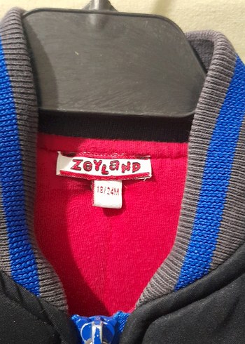 Erkek Çocuk Renkli Fermuarlı mont ceket - Görsel 3