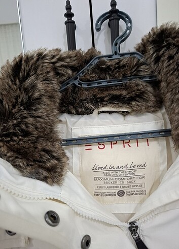 xs Beden Esprit mont