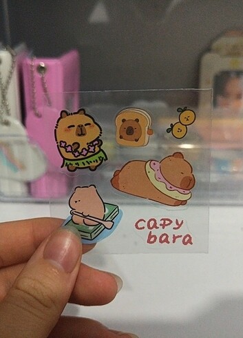 6 tane random capybara sticker (2. Fotoğraftakinden 6 tane)