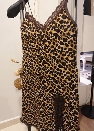 Leopar gecelik