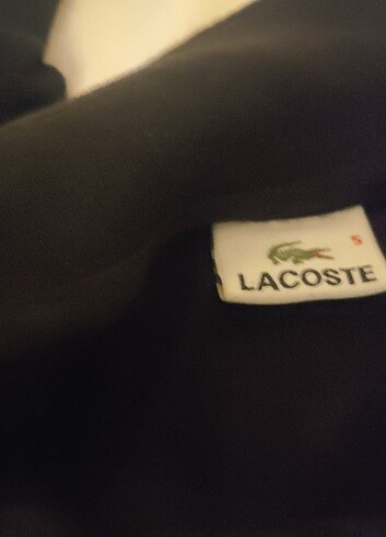 s Beden Lacoste 2 adet orijinal kazak tertemiz az giyilmiş