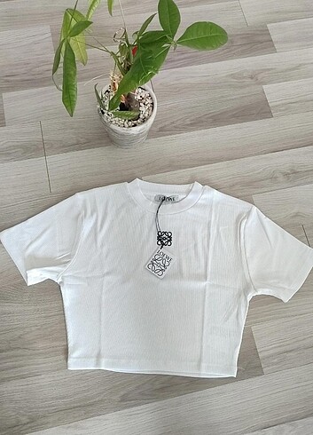 LOEVE CROP