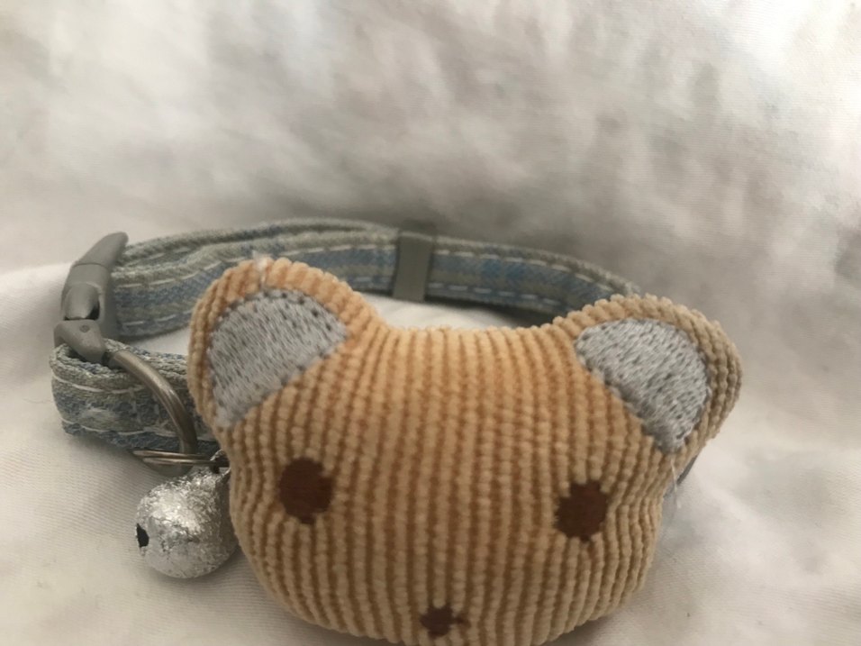 kedi köpek tasması - Görsel 2