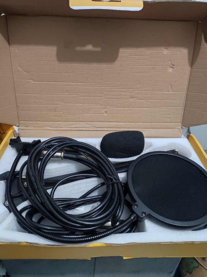 Kayıt ve Yayın Mikrofonu Müzik Ses - Görsel 4