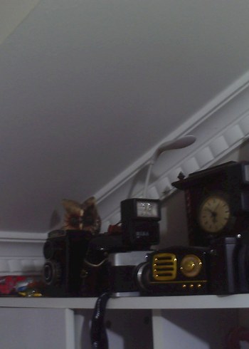 Goldmaster Retro Vintage Fotoğraf Makinesı - Görsel 13