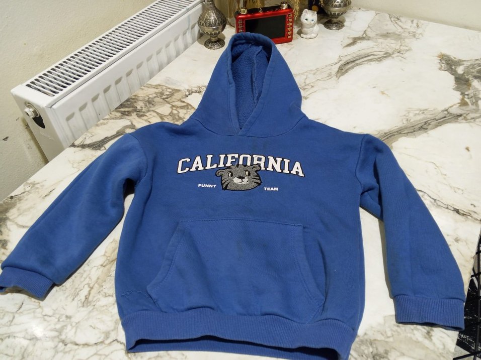 Kapüşonlu Mavi erkek çocuk Sweatshirt - Görsel 2