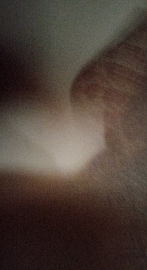 Siyah Baskılı Kısa Kollu çocuk 
Tişört - Görsel 5