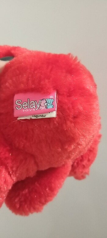 Beden Temiz peluş ayı