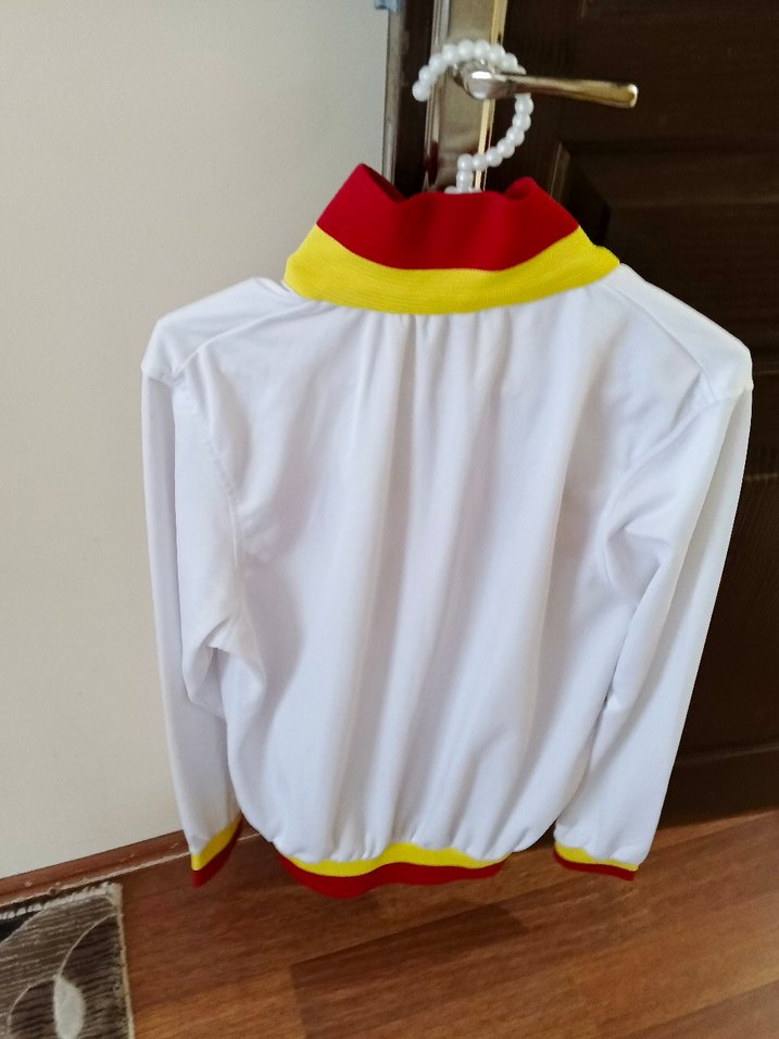 GÖZTEPE Renkli Baskılı Spor Ceket - Görsel 2