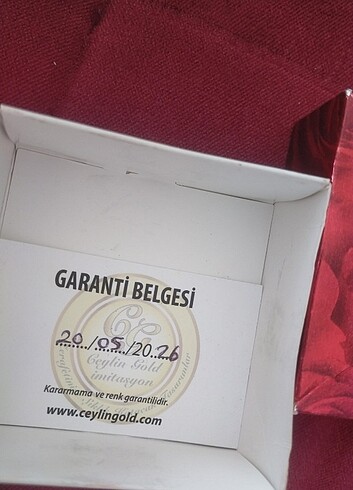  Beden Baklava dilimi ve şerit detaylı bilezik