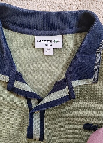 Lacoste Erkek tişört