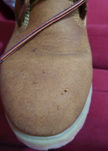 Erkek kahverengi bot - Görsel 2