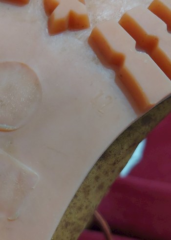 Erkek kahverengi bot - Görsel 7