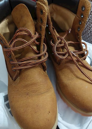 Erkek kahverengi bot - Görsel 8