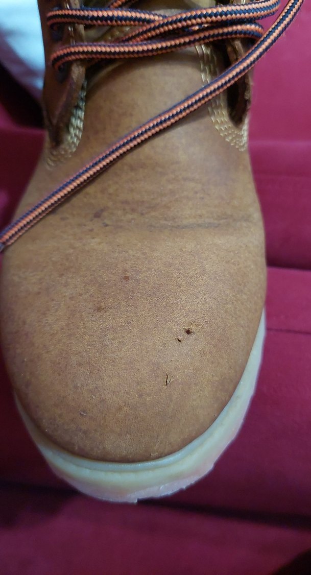 Erkek kahverengi bot - Görsel 2