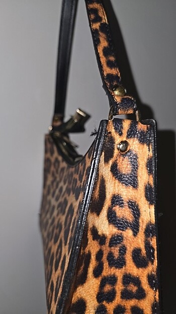 Beden Leopar