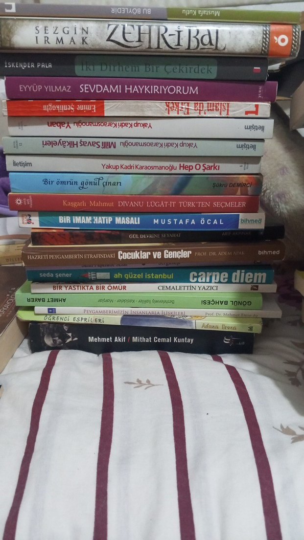 Neşter ve Çığlık Roman Seti - Görsel 4