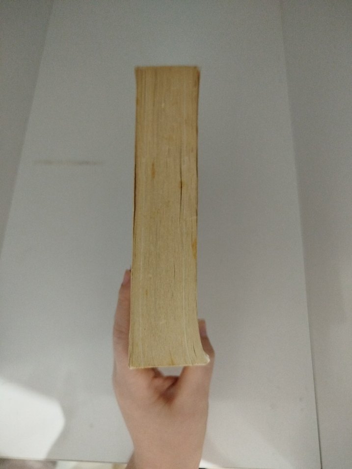 Peygamberimiz'in Şemaili - Prof. Dr. Ali Yardım - Görsel 2