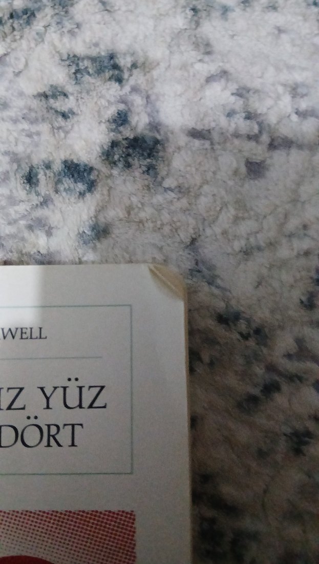 Bin Dokuz Yüz Seksen Dört - George Orwell - Görsel 2