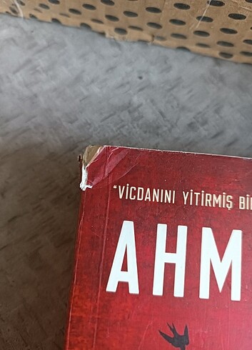 Beden Ahmet Ümit kırlangıç çığlığı