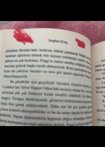 Stephen King - Mahşer (Sansürsüz) - Görsel 5