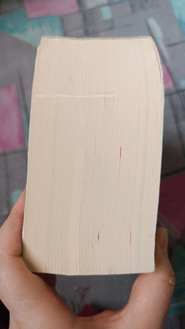 Stephen King - Mahşer (Sansürsüz) - Görsel 4