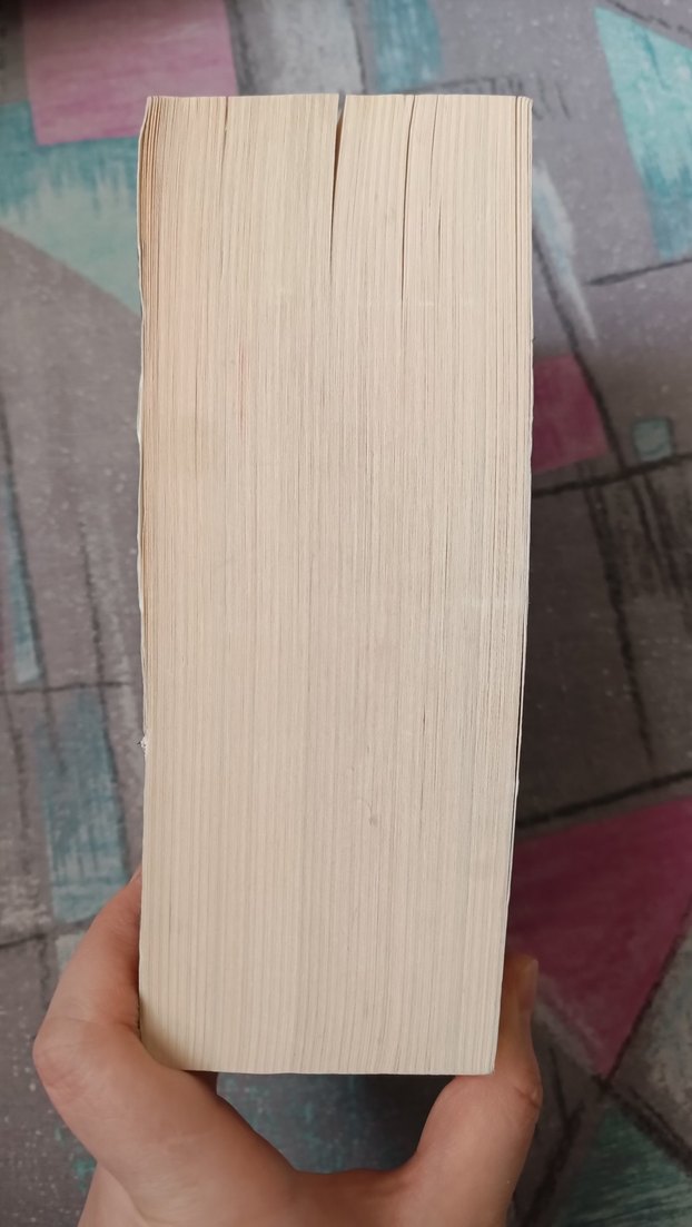 Stephen King - Mahşer (Sansürsüz) - Görsel 2