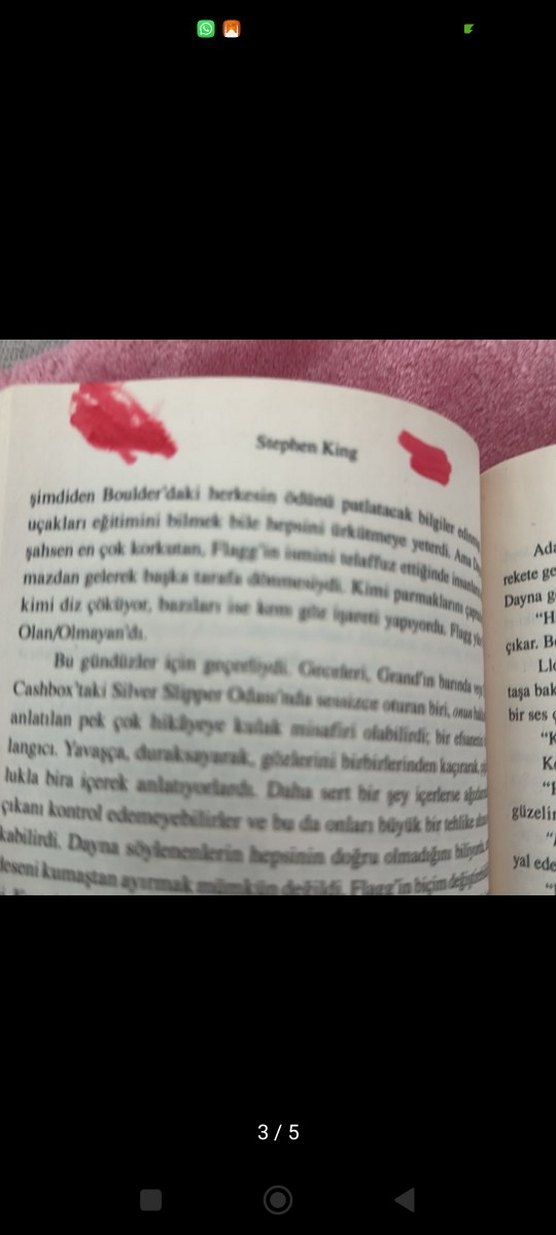 Stephen King - Mahşer (Sansürsüz) - Görsel 5