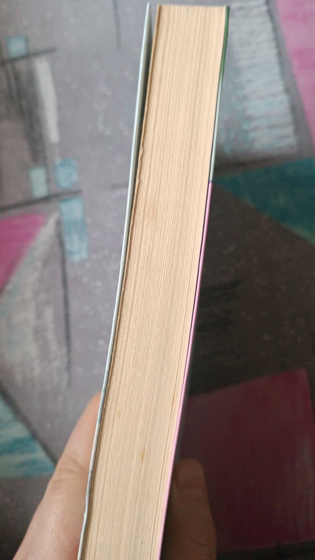 Böğürtlen Kuşu - Sarah Jio - Görsel 3