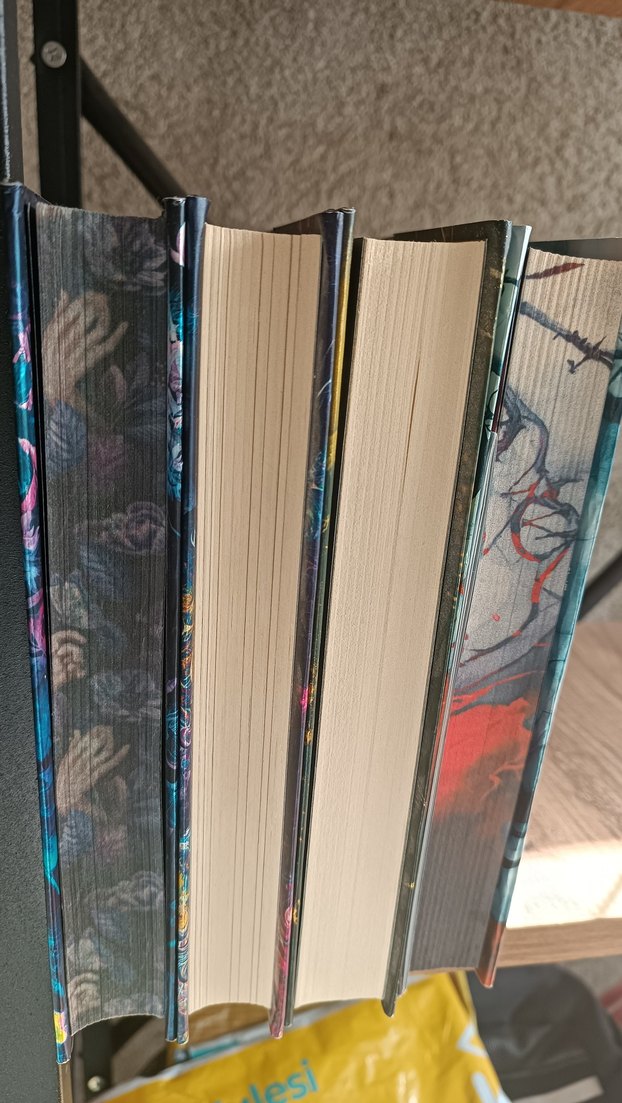 Ötanazi Okulu Roman Serisi - Maral Atmaca - Görsel 2