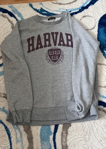 Gri Harvard Baskılı Kadın Sweatshirt - Görsel 2