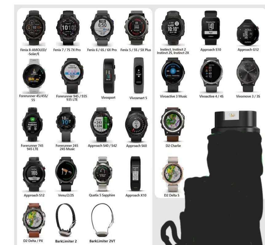 Garmin Şarj Type-c adaptör - Görsel 2