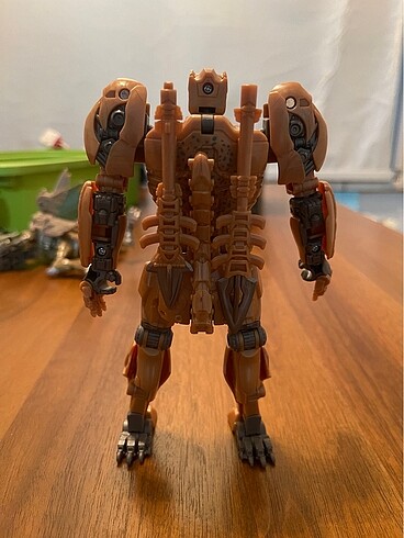  Beden Transformers Cheetor(Rotb)