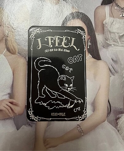  Yuqi pc