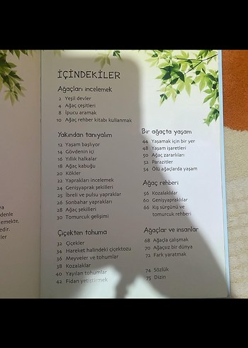 Doğa: Ağaçlar TÜBİTAK Bilgi Kitabı - Görsel 3